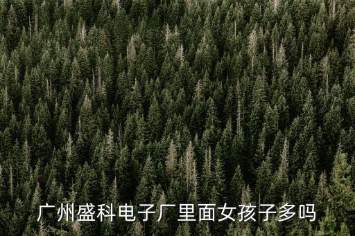 廣州盛科電子廠里面女孩子多嗎