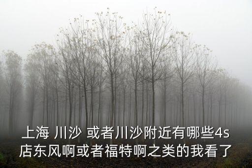 上海 川沙 或者川沙附近有哪些4s店東風啊或者福特啊之類的我看了