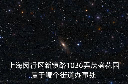 上海閔行區(qū)新鎮(zhèn)路1036弄茂盛花園屬于哪個街道辦事處