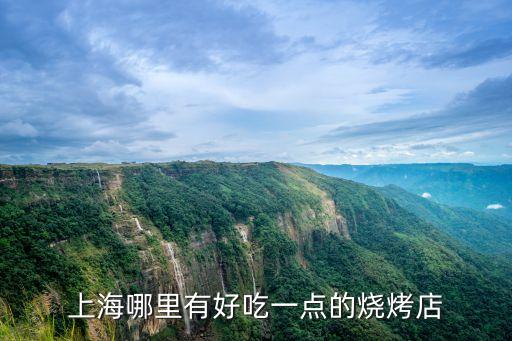 上海市翅霸天下燒烤吧包頭南路店，上海哪里有好吃一點的燒烤店