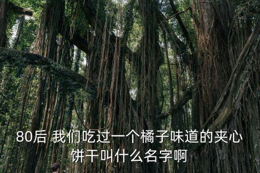橙汁夾心餅干廣州，80后 我們吃過一個橘子味道的夾心餅干叫什么名字啊