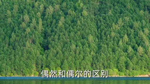 偶然和偶爾的區別