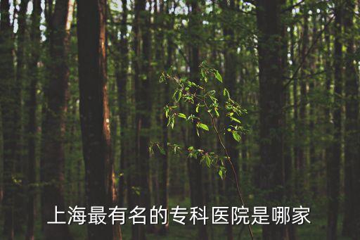 上海市王牌專科醫院，上海醫院大全