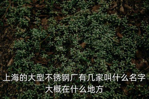 上海的大型不銹鋼廠有幾家叫什么名字大概在什么地方