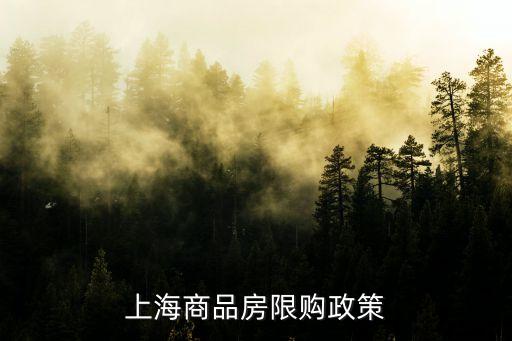 上海商品房限購政策