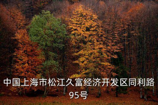 中國上海市松江久富經濟開發區同利路95號