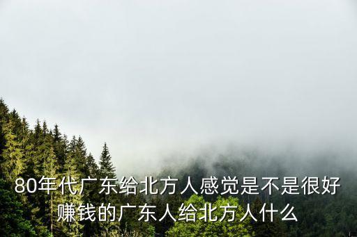 80年代廣東給北方人感覺是不是很好賺錢的廣東人給北方人什么