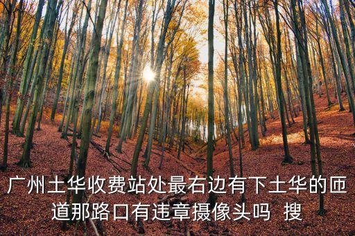 廣州土華收費站拍違章，廣州土華收費站處最右邊有下土華的匝道那路口有違章攝像頭嗎  搜