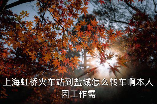 上海市虹橋到鹽城的高鐵，從江蘇鹽城到上海的高鐵到哪座車