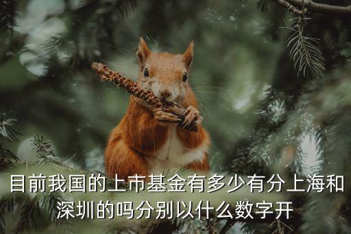 上海市基金規模，目前我國的上市基金有多少有分上海和深圳的嗎分別以什么數字開