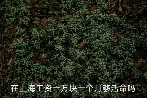 上海市上班每月一萬是窮人嗎，在上海工資一萬塊一個月夠活命嗎