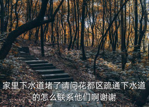 家里下水道堵了請(qǐng)問(wèn)花都區(qū)疏通下水道的怎么聯(lián)系他們啊謝謝