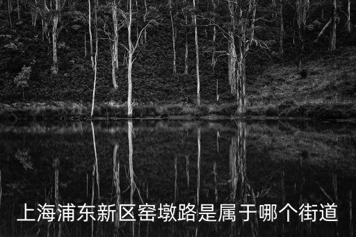 上海浦東新區窯墩路是屬于哪個街道