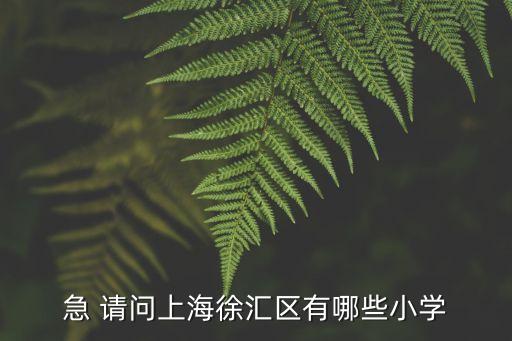 急 請問上海徐匯區有哪些小學
