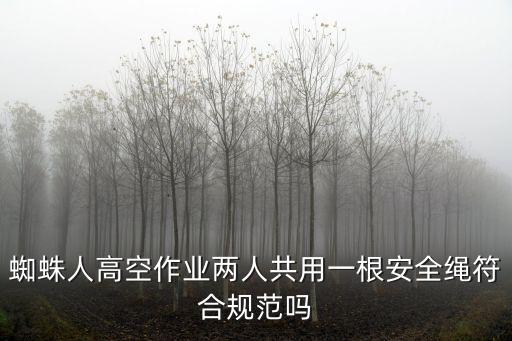 上海市蜘蛛人系列高空作業(yè)，從事高空作業(yè)的工人蜘蛛人工資是多少