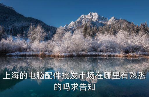 上海的電腦配件批發市場在哪里有熟悉的嗎求告知