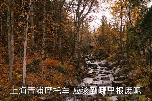 上海青浦摩托車 應該到哪里報廢呢