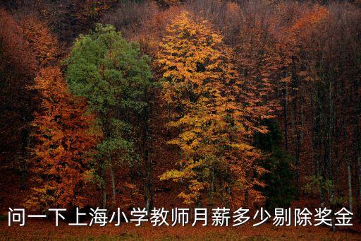 問一下上海小學教師月薪多少剔除獎金