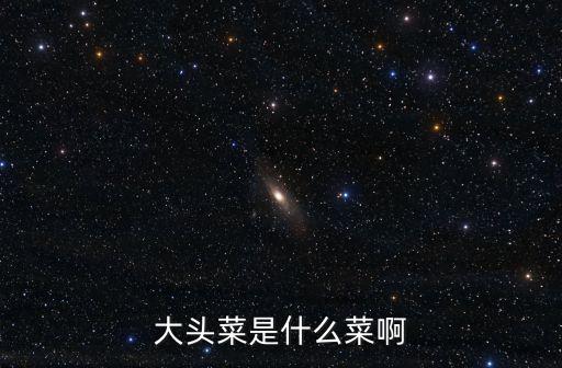 大頭菜，什么是大頭菜