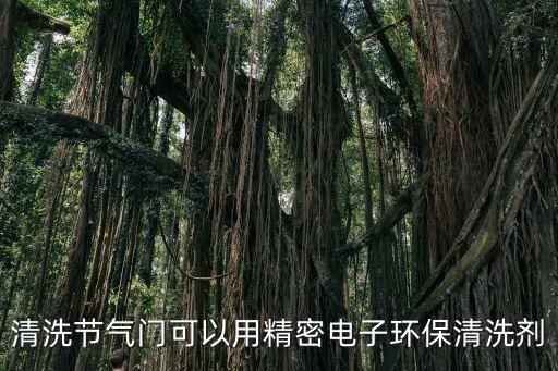 節氣門清洗劑，洗節氣門的用啥清洗劑