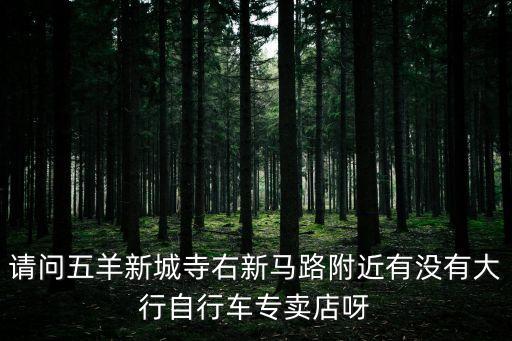 請問五羊新城寺右新馬路附近有沒有大行自行車專賣店呀