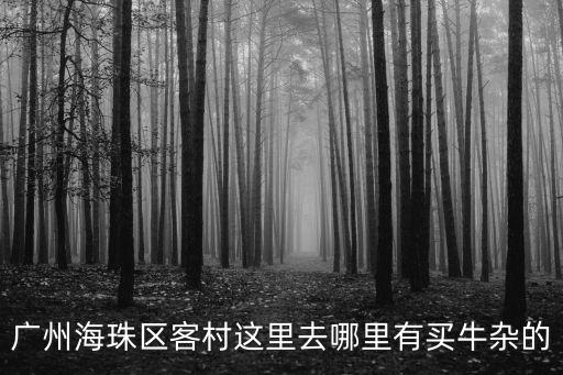 廣州海珠區客村這里去哪里有買牛雜的