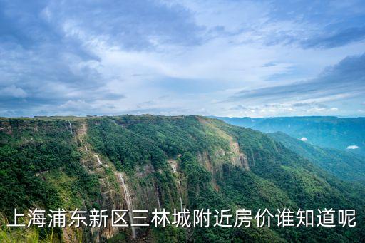 上海市三林各小區房價地圖，上海浦東新區三林城附近房價誰知道呢