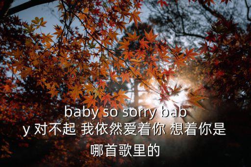 baby so sorry baby 對不起 我依然愛著你 想著你是哪首歌里的