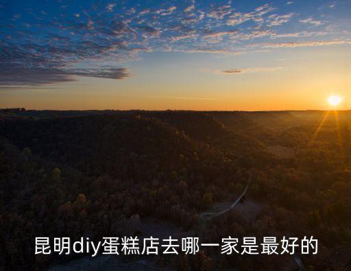 昆明diy蛋糕店去哪一家是最好的