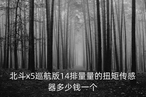 北斗x5巡航版14排量量的扭矩傳感器多少錢一個