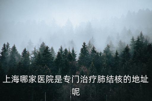 上海哪家醫院是專門治療肺結核的地址呢