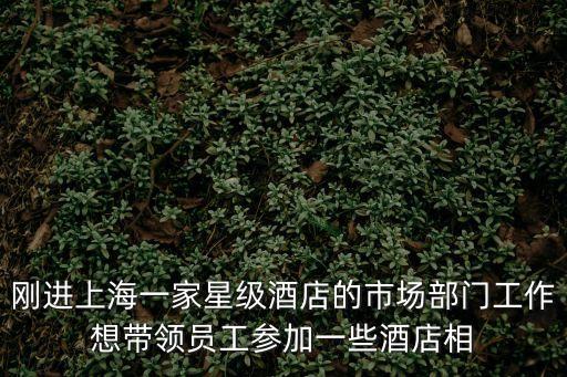 上海市市場監督局童仲華，剛進上海一家星級酒店的市場部門工作想帶領員工參加一些酒店相