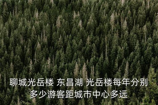 聊城光岳樓 東昌湖 光岳樓每年分別多少游客距城市中心多遠