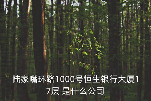 上海市盛達融資租賃有限公司，陸家嘴環路1000號恒生銀行大廈17層 是什么公司