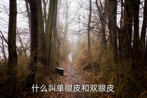 什么叫單眼皮和雙眼皮