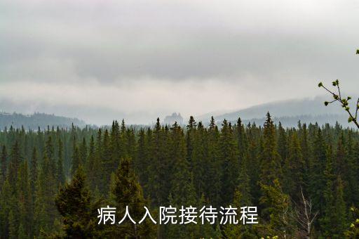 上海市胸科醫院新患者入院流程，病人入院接待流程