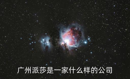 廣州派莎是一家什么樣的公司