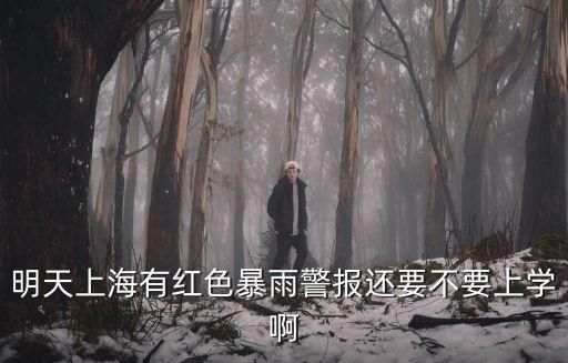 上海市暴雨預警通知，上海發布過哪些突發氣象災害預警信號