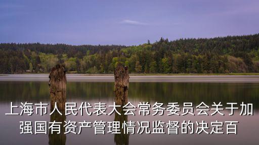 上海市人民代表大會常務委員會關于加強國有資產管理情況監督的決定百