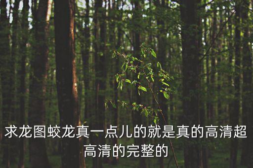 求龍圖蛟龍真一點(diǎn)兒的就是真的高清超高清的完整的