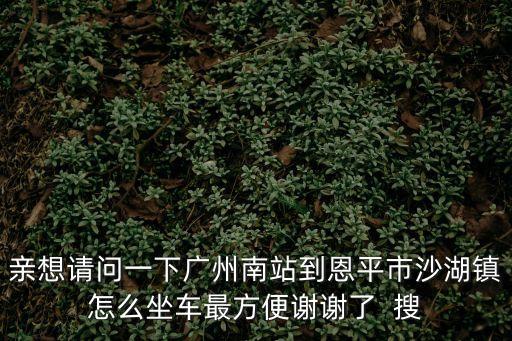 親想請問一下廣州南站到恩平市沙湖鎮怎么坐車最方便謝謝了  搜