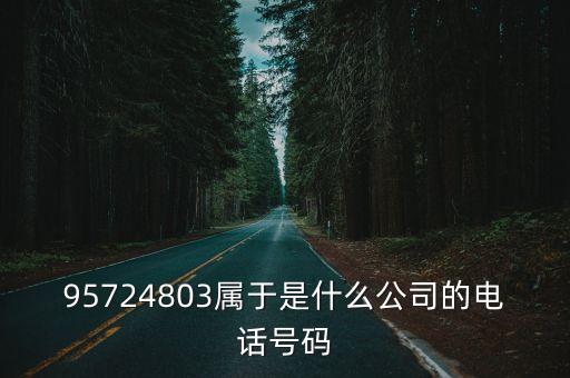 95724803屬于是什么公司的電話號碼
