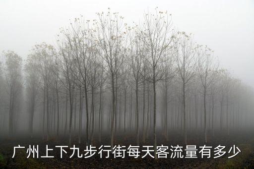 廣州上下九步行街每天客流量有多少