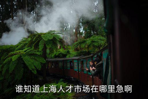 上海市浦江人才2021，浦江人才市場電話