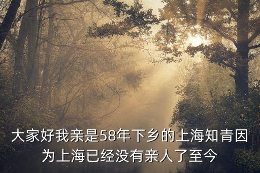 上海市知青段瑛，大家好我親是58年下鄉的上海知青因為上海已經沒有親人了至今