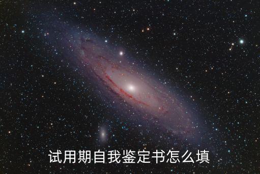 試用期自我鑒定書怎么填