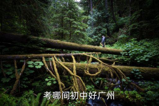 龔宇廣州大學附屬中學，考哪間初中好廣州