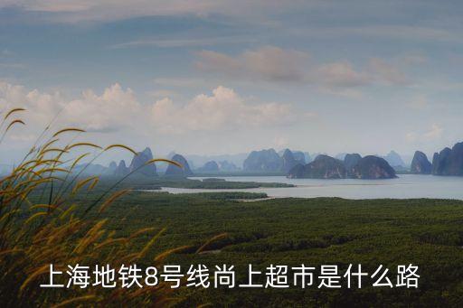 上海地鐵8號(hào)線尚上超市是什么路