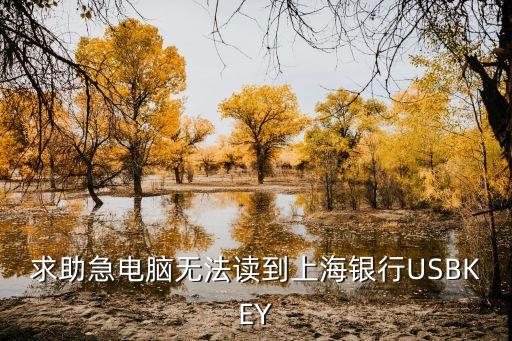 求助急電腦無法讀到上海銀行USBKEY
