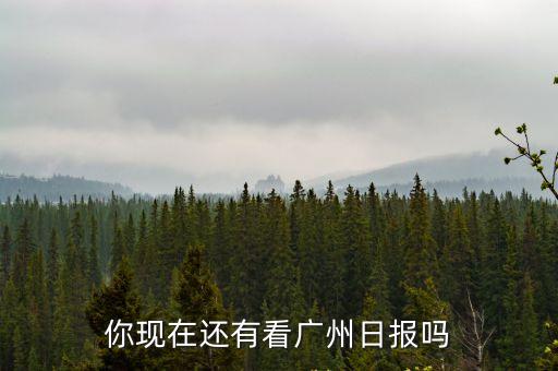 廣州日報廣州復工指引，你現在還有看廣州日報嗎